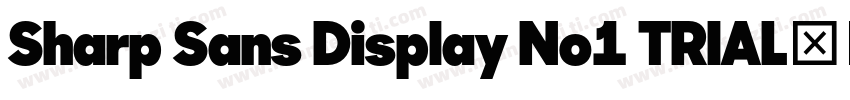 Sharp Sans Display No1 TRIAL字体转换